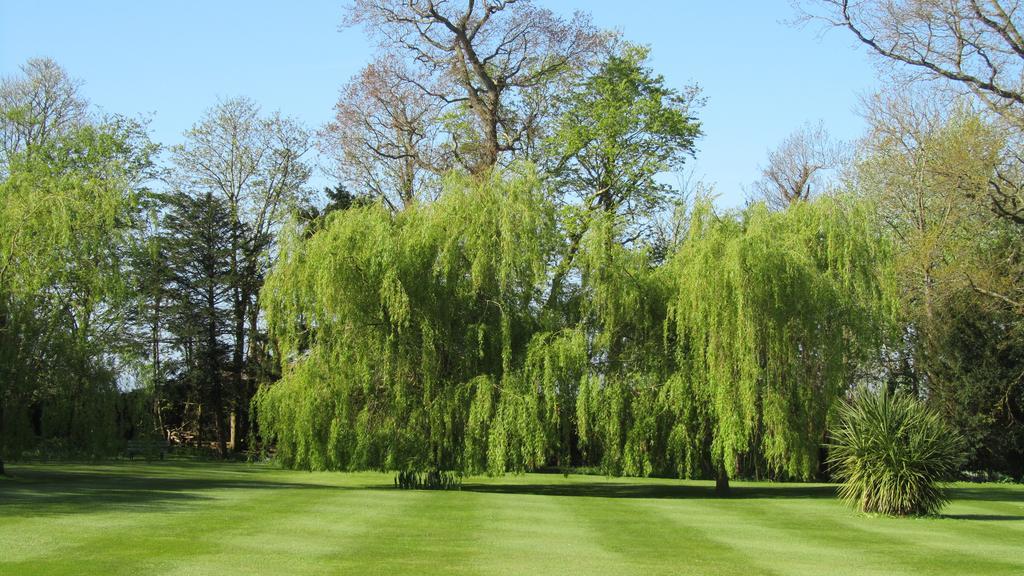 Wartling Place Country House Exterior foto